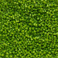 1,000 Perler Beads - Fern