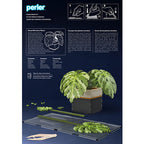 Perler 3D Monstera Plant Fused Bead Activity Kit